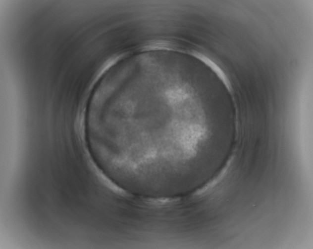 X0000113290949200910051058