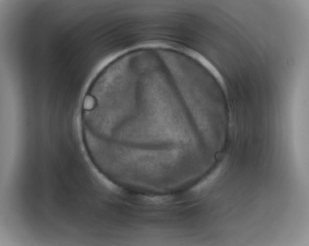 X0000113290951200910051058