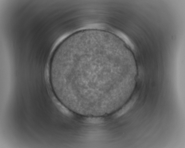 X0000113290952200910051058