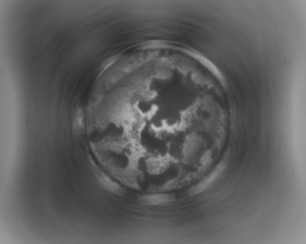 X0000113290953200910051058