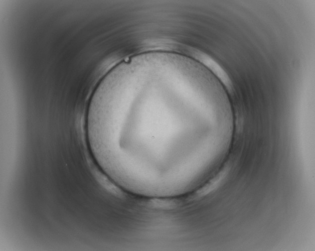 X0000113290954200910051058