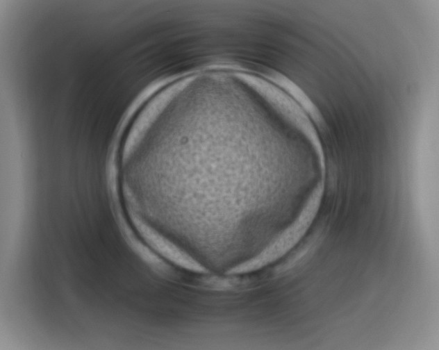 X0000113290955200910051058