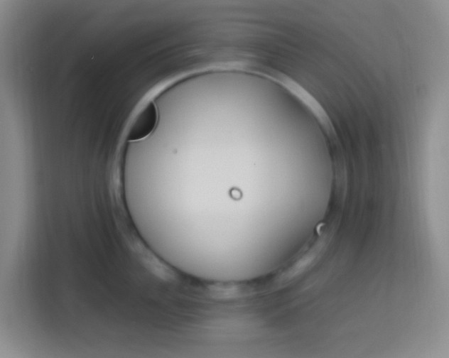 X0000113290956200910051058