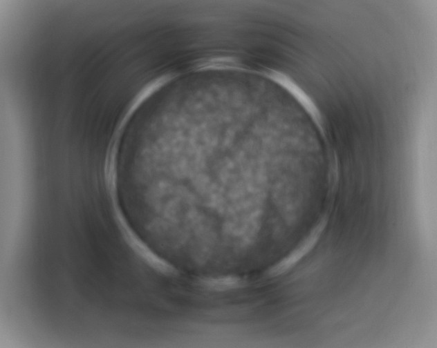 X0000113290957200910051058