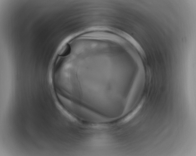 X0000113290958200910051058