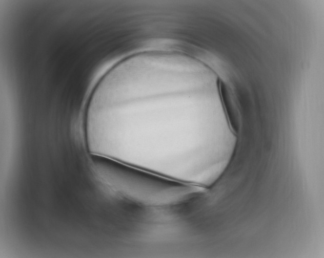 X0000113290960200910051058