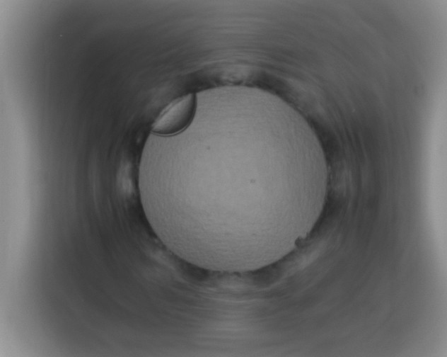 X0000113290962200910051057