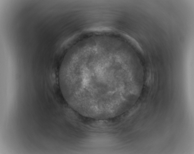 X0000113290966200910051057