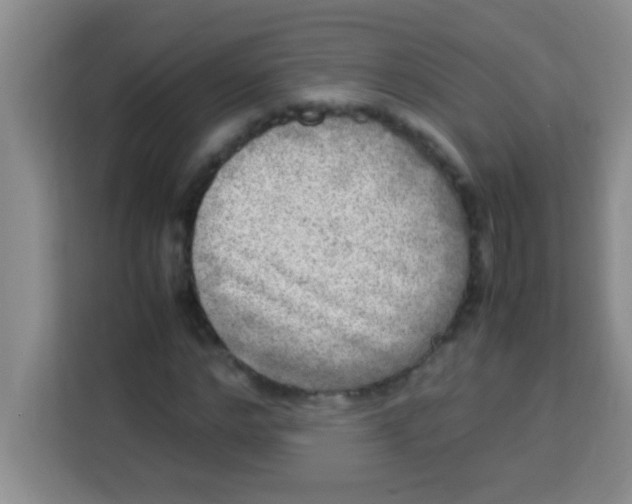 X0000113290968200910051057