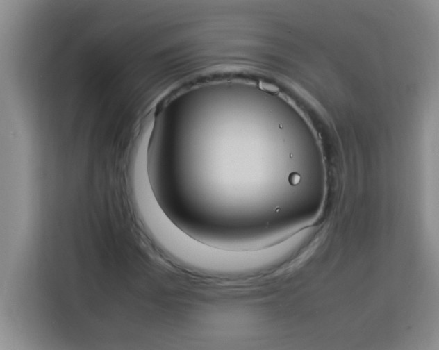 X0000113290969200910051057