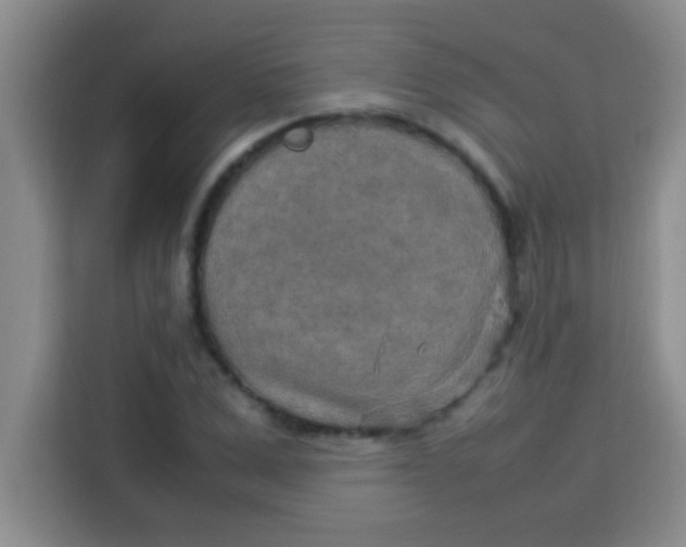 X0000113290975200910051057