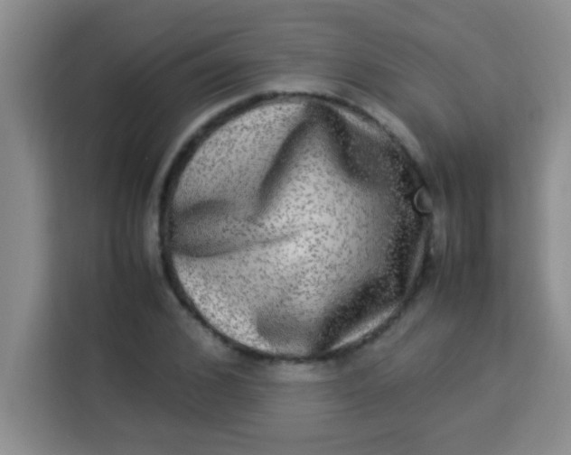 X0000113290976200910051057