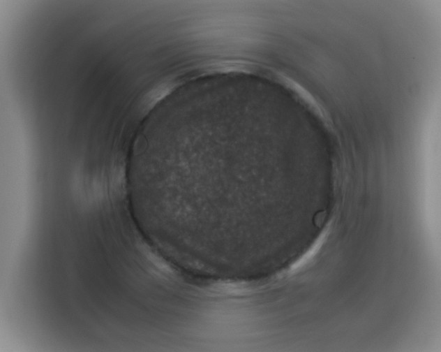 X0000113290977200910051057