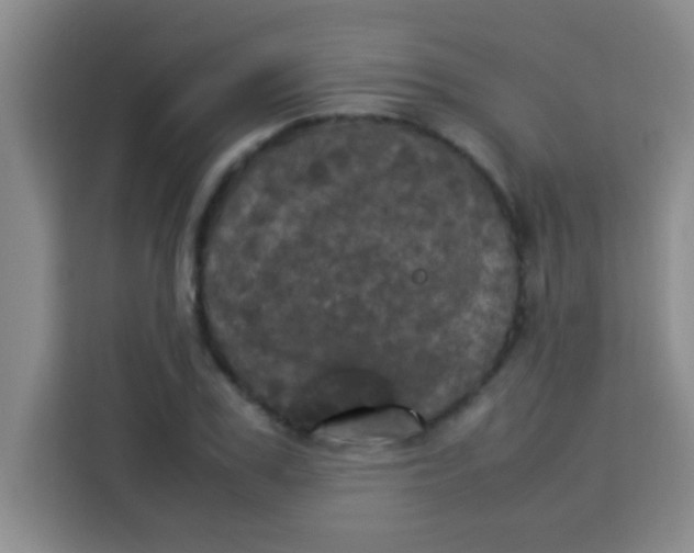 X0000113290979200910051057