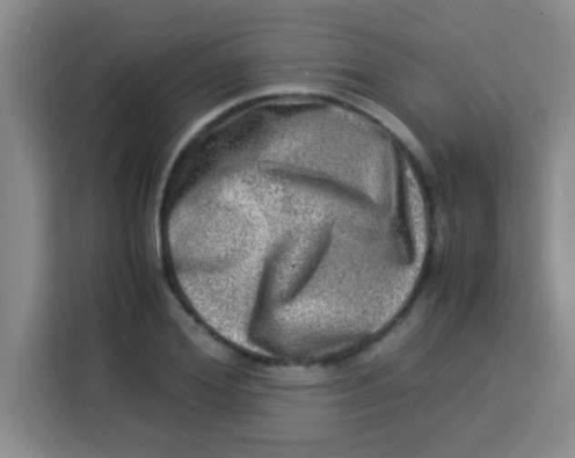 X0000113290980200910051057