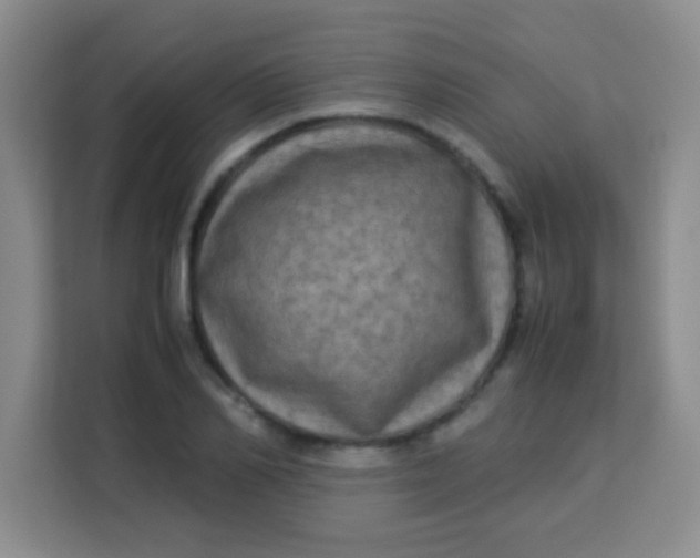 X0000113290982200910051057