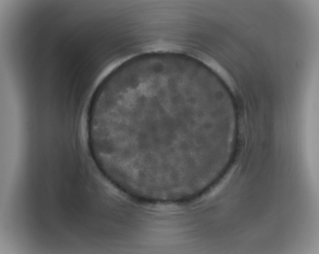 X0000113290983200910051057