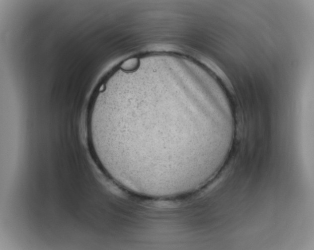 X0000113290984200910051057