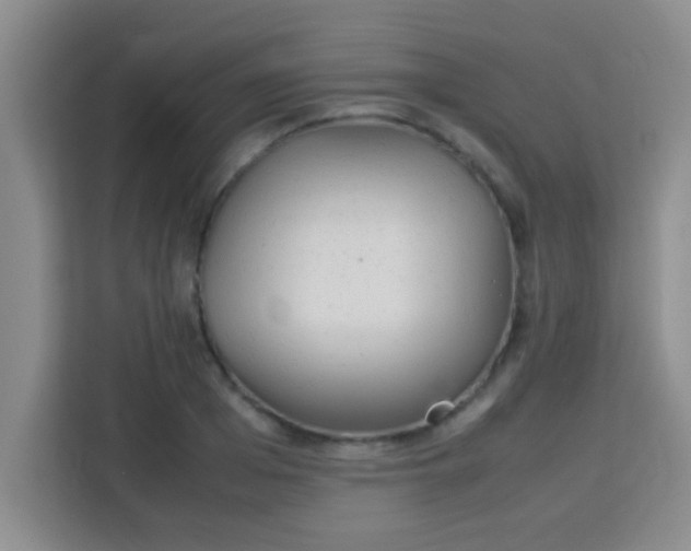 X0000113290985200910051057