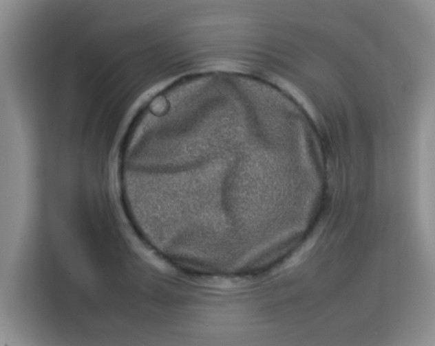 X0000113290987200910051057