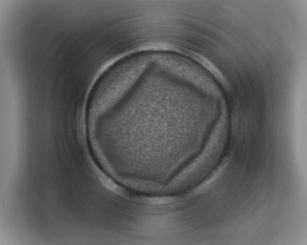 X0000113290988200910051057