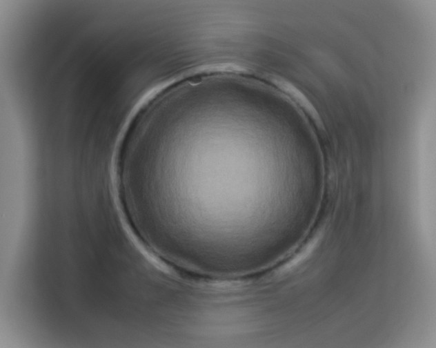 X0000113290989200910051057