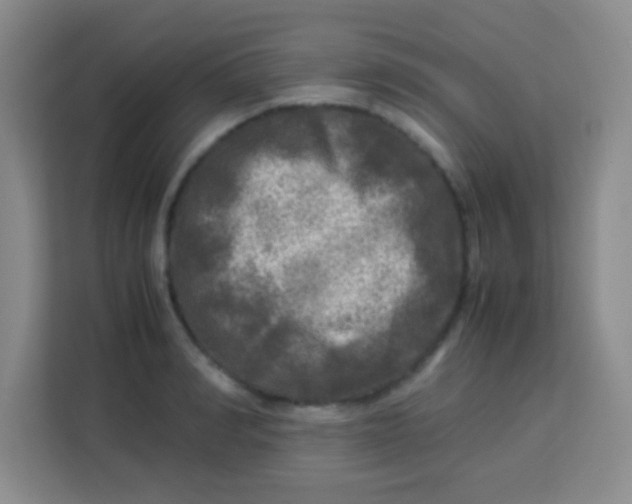 X0000113290990200910051057