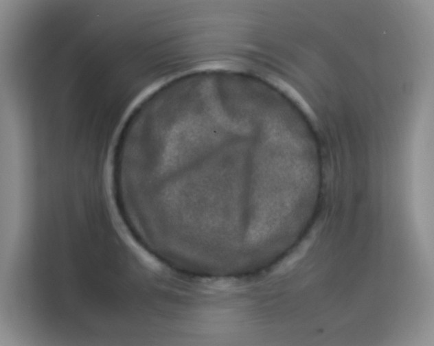 X0000113290991200910051057