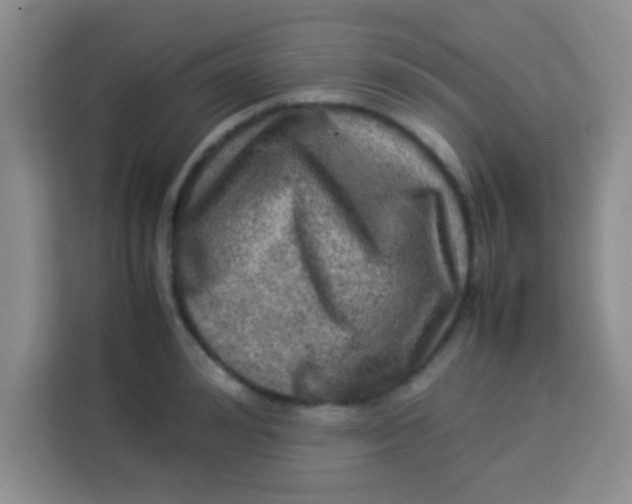 X0000113290992200910051057