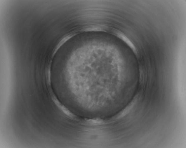 X0000113290994200910051057