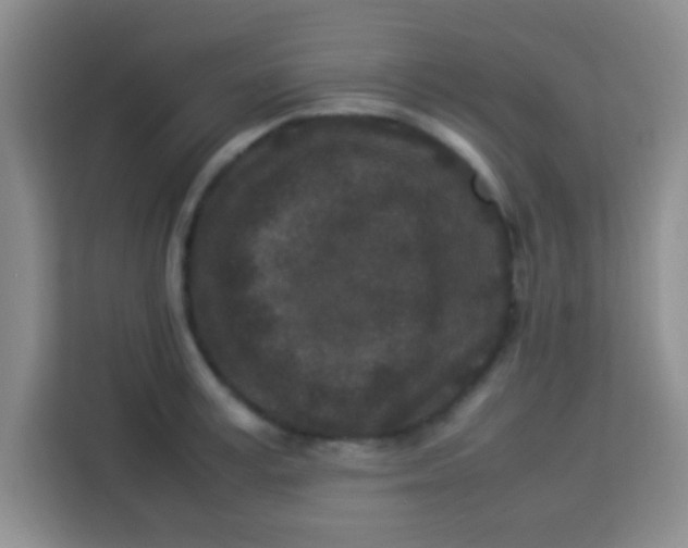 X0000113290995200910051057