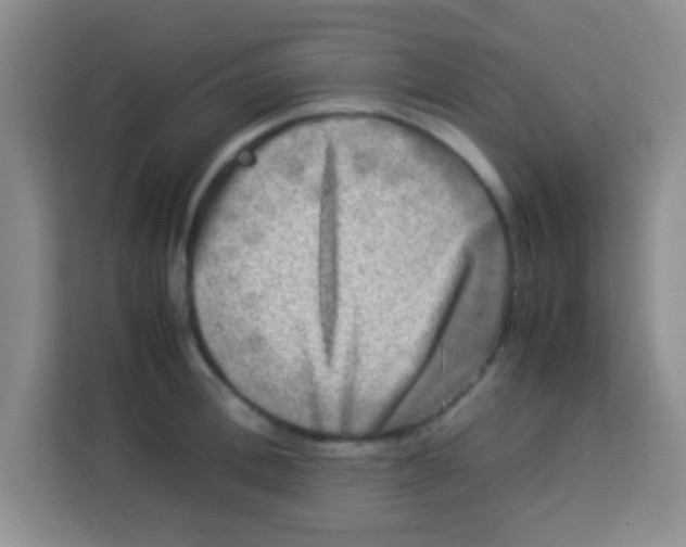 X0000113290996200910051057