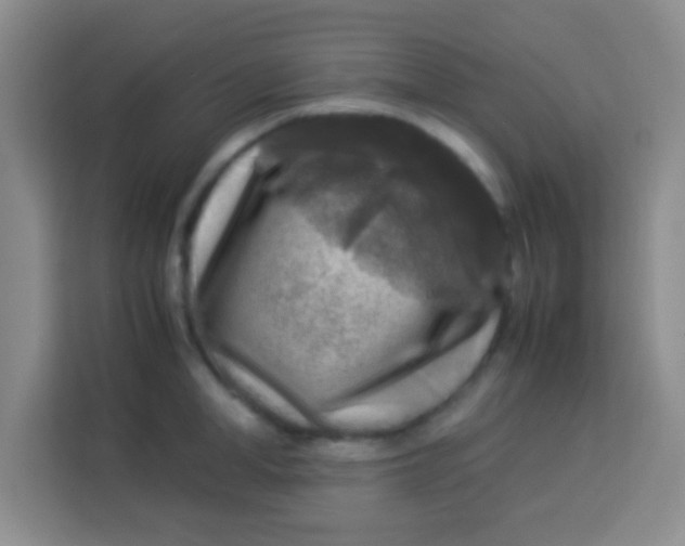 X0000113290998200910051057