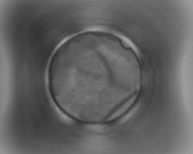 X0000113290999200910051057