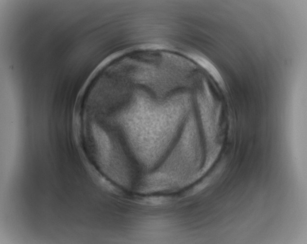 X0000113291000200910051057