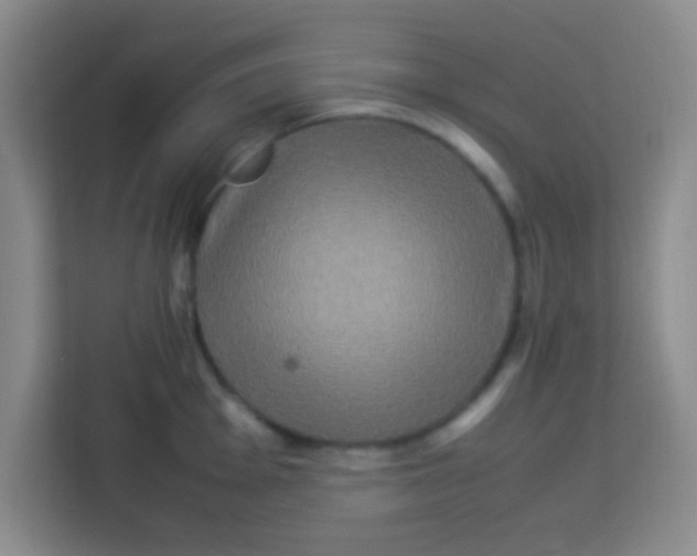 X0000113291001200910051057