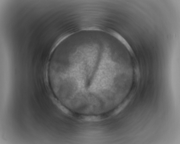 X0000113291002200910051057