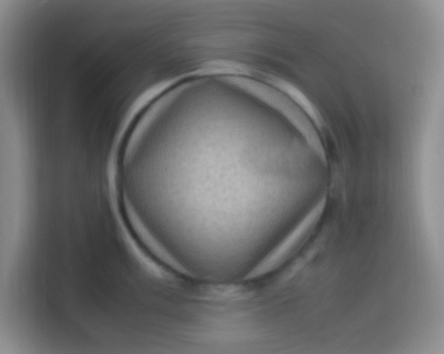 X0000113291003200910051057