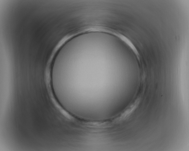 X0000113291005200910051057