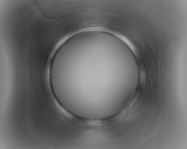 X0000113291006200910051057