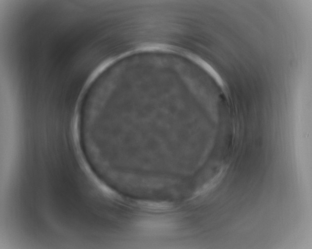 X0000113291007200910051057