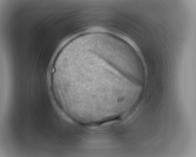 X0000113291008200910051057