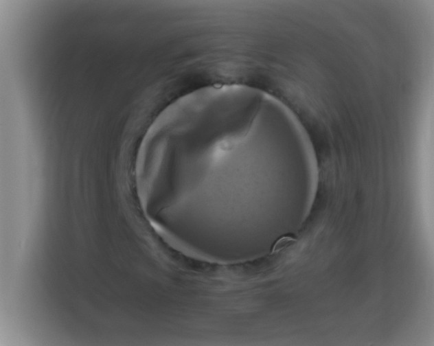 X0000113291009200910051056