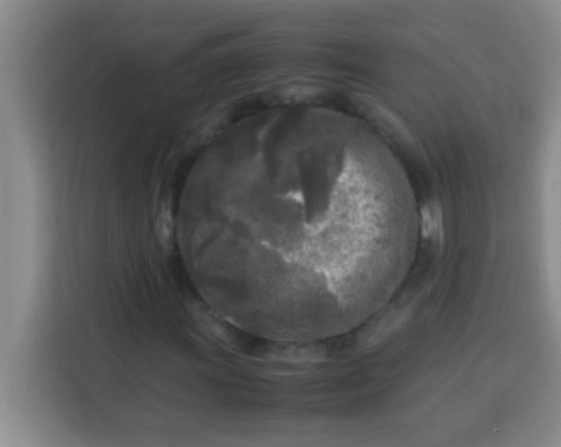 X0000113291011200910051056