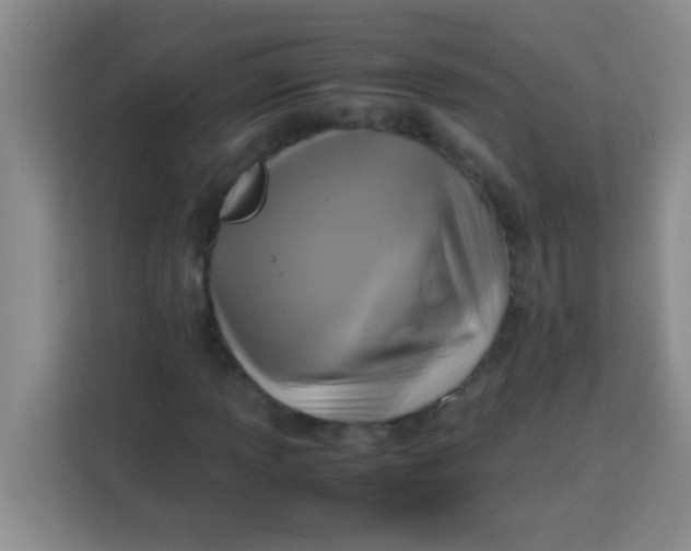 X0000113291013200910051056