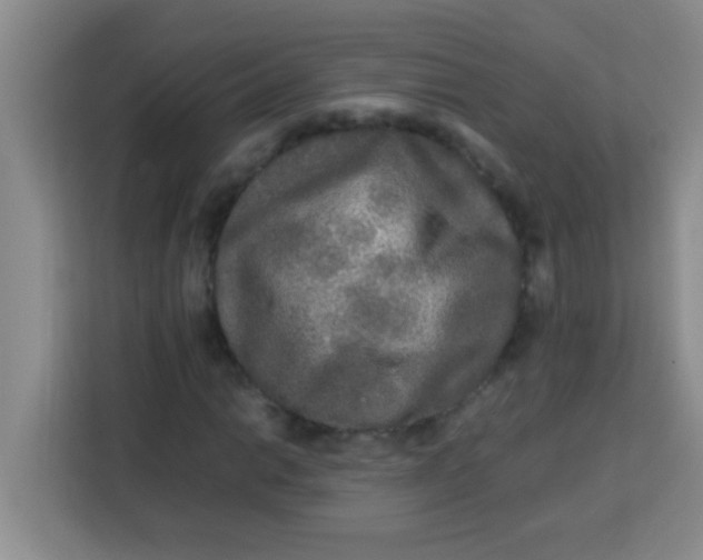 X0000113291014200910051056