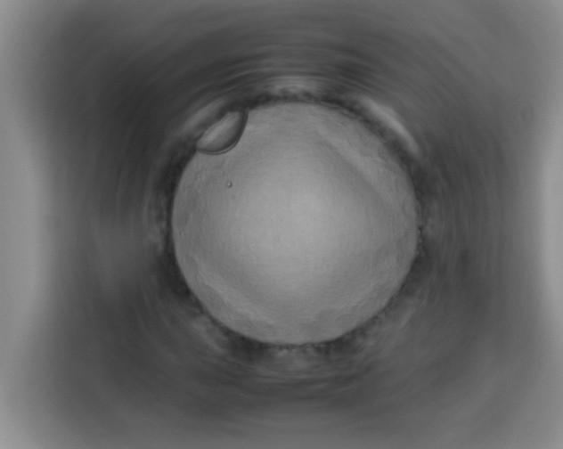 X0000113291015200910051056