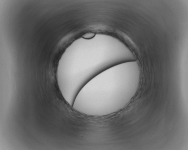 X0000113291016200910051056