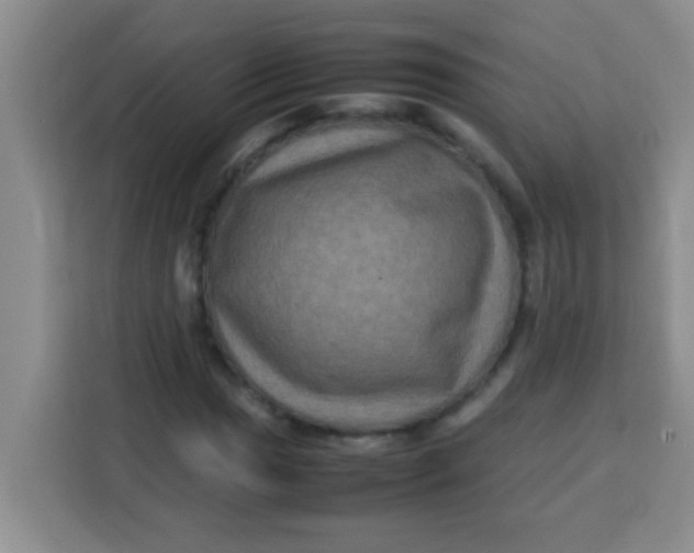 X0000113291017200910051056