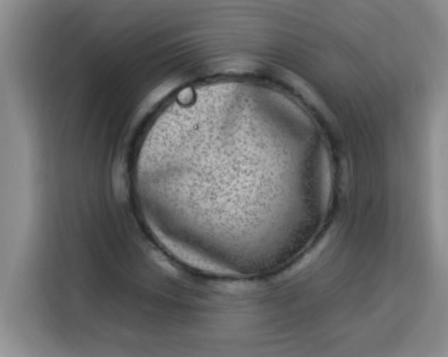 X0000113291018200910051056